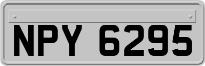 NPY6295