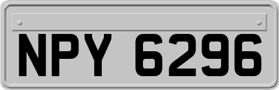 NPY6296