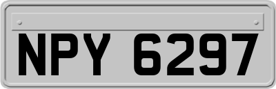 NPY6297