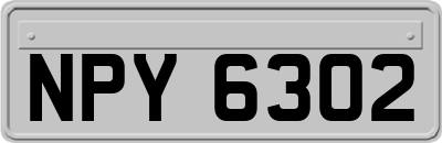 NPY6302