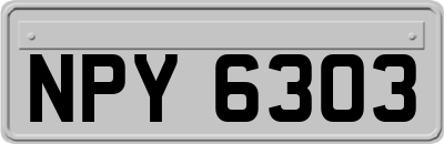 NPY6303
