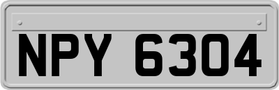 NPY6304