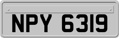 NPY6319