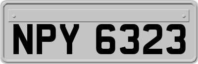 NPY6323