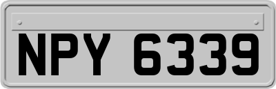 NPY6339