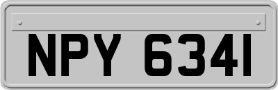 NPY6341