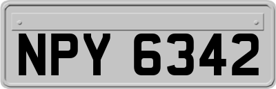 NPY6342
