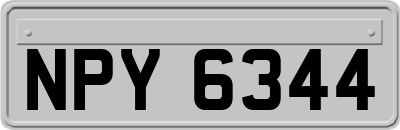 NPY6344