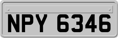 NPY6346
