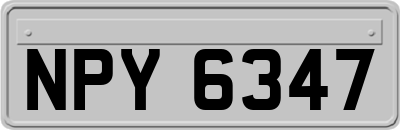 NPY6347