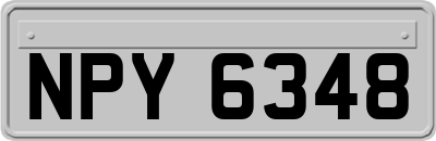NPY6348