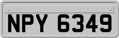 NPY6349