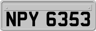 NPY6353