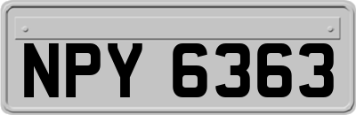 NPY6363