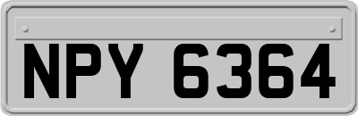 NPY6364
