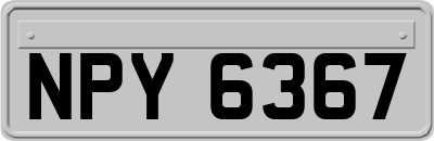 NPY6367