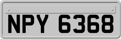 NPY6368