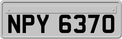 NPY6370