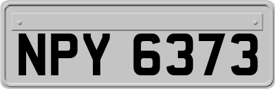 NPY6373