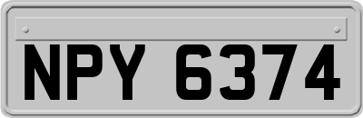 NPY6374