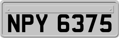 NPY6375