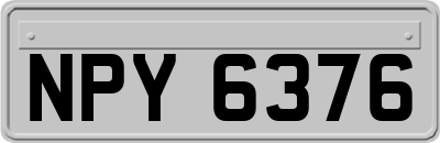 NPY6376