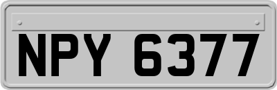 NPY6377