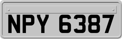 NPY6387
