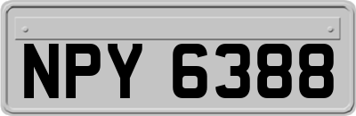 NPY6388