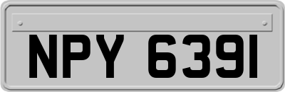 NPY6391