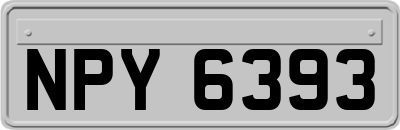 NPY6393
