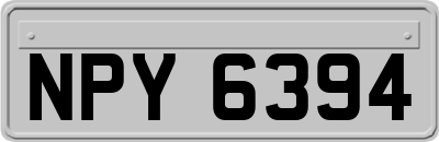 NPY6394