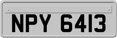 NPY6413