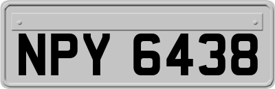 NPY6438