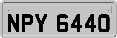 NPY6440