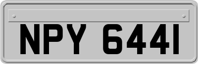 NPY6441
