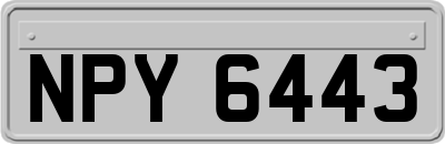 NPY6443