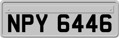 NPY6446