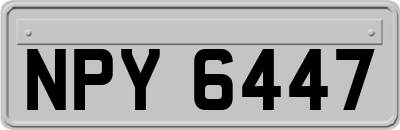 NPY6447