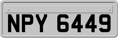 NPY6449