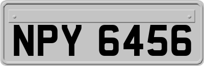 NPY6456