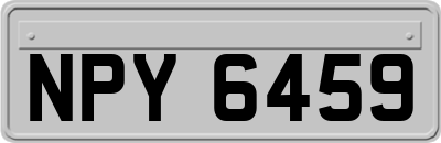 NPY6459