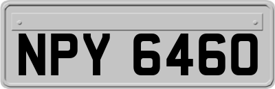 NPY6460