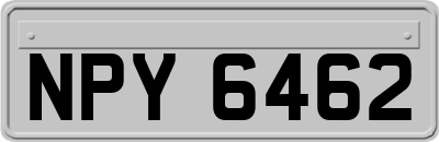 NPY6462