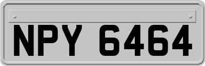 NPY6464
