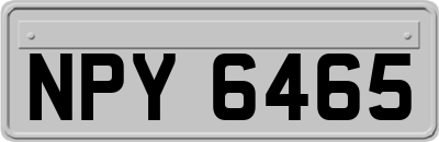 NPY6465
