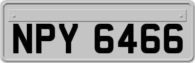 NPY6466