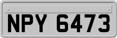 NPY6473