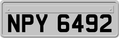 NPY6492