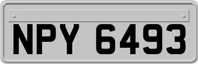 NPY6493